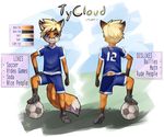  5_fingers :3 anthro aogami backview ball blue_eyes canine clothing footwear fox frontview fur hair looking_at_viewer male mammal multicolored_fur presentation shoes smile tycloud 