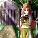  ao-shiba beret blue_eyes braid chinese_clothes gate hat holding hong_meiling long_hair neck_ribbon open_mouth outdoors planter red_hair ribbon short_sleeves smile solo star touhou tree twin_braids 