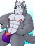  abs bulge canine clothing eye_patch eyewear looking_at_viewer male mammal muscular nintendo schwarzfox smile solo standing star_fox underwear video_games wolf wolf_o&#039;donnell 