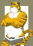  abs bulge butt clothed clothing colored feline looking_at_viewer male mammal muscular pants_down partially_clothed pecs penis simple_background solo teasing tiger underwear underwear_down unknown_artist 