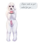  anthro balls brian_griffin canine dog erection family_guy male mammal mirtilo penis solo 