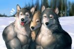  2018 anthro biceps canine fur grey_fur group hi_res kuron male mammal muscular muscular_male pecs simple_background wolf 