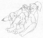  all_fours anthro anus backsack balls barefoot buckteeth cub cute_fangs digitigrade duo female greyscale jake_cottontail k-y_jelly katie_kirster lagomorph looking_back lube male male/female mammal mizzyam monochrome mustelid nude on_lap otter over_knee pencil_(artwork) penis perineum rabbit rear_view reclining sheath sitting tapering_penis teeth tongue tongue_out traditional_media_(artwork) young 