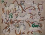  barbed_penis cat clover_siamese collar colored_pencil coy feline feral grooming lordosis lying mammal model_sheet multiple_poses on_side penis pose pussy queensmate siamese stretching traditional_media_(artwork) 