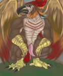  anthro armadyl avian beak bird claws crouching diety digitigrade feathers hi_res looking_at_viewer male muscular nude penis runescape solo tail_feathers talons tapering_penis velrizoth video_games wings 