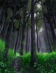  bad_pixiv_id bush daico dew_drop forest leaf nature no_humans original road scenery water_drop 