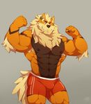  abs arcanine biceps big_muscles bulge canine clothing fur looking_at_viewer male mammal muscular muscular_male nintendo nipples o-ro pecs pok&eacute;mon smile underwear video_games 