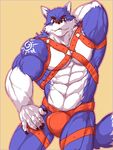  2016 5_fingers :3 anthro blue_fur bulge canine clothing fur harness inner_ear_fluff istani looking_at_viewer male mammal muslces navel presenting simple_background smile solo underwear white_fur wolf 