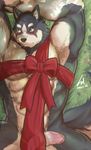  2016 abs anthro armpits arms_above_head biceps big_muscles blue_eyes blush canine fur gift looking_away lying male mammal muscular muscular_male nude on_back on_floor pecs penis pointy_ears solo wolf xsrwe12 