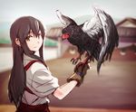  akagi_(kantai_collection) bateleur bird black_feathers blurry brown_eyes brown_hair claws depth_of_field falconry gloves japanese_clothes kantai_collection looking_at_viewer looking_back smile solo target tsuta_no_ha 