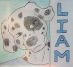  canine cutie dalmatian dog liam mammal philadelphia 