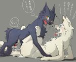  2016 blue_eyes blush cat cum duo feline mammal penis rokh_(artist) tongue yellow_eyes 