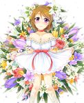  bad_id bad_pixiv_id bare_shoulders bird blush breasts brown_hair choker cleavage collarbone dress floral_background flower flower_necklace hair_flower hair_ornament highres hiro9779 jewelry koizumi_hanayo lily_(flower) looking_at_viewer love_live! love_live!_school_idol_project medium_breasts nail_polish necklace pink_flower pink_nails pink_rose purple_eyes ribbon rose short_dress short_hair short_sleeves skirt_hold smile solo water_drop white_background white_dress 