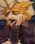  ayvee bed canine cum cum_in_mouth cum_inside cum_on_face erection fox fox_mccloud male male/male mammal nintendo orgasm penis star_fox tongue tongue_out video_games wolf wolf_o&#039;donnell 