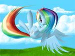  2013 blue_feathers blue_fur cloud cutie_mark equine feathers female feral flying friendship_is_magic fur grass hair looking_at_viewer mammal multicolored_hair multicolored_tail my_little_pony outside pegasus purple_eyes rainbow_dash_(mlp) rainbow_hair rainbow_tail sky solo wings zigword 