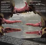  2013 3d_(artwork) alien anatomy animal_genitalia cgi cum cum_drip design digital_media_(artwork) dockable docking dripping duo erection genital_slit hi_res humor internal male male/male orgasm penetration penis salireths scales scalie sex silly simple_background slit spikes tendrils text uncut unknown_species what 