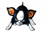  3d_(artwork) ambiguous_gender angry black_fur blue_eyes boston_terrier canine cgi claws digital_media_(artwork) dog fur iggy_(jjba) jojo&#039;s_bizarre_adventure looking_at_viewer mammal markings official_art simple_background socks_(marking) solo unknown_artist white_background white_markings 