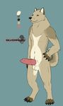  animal_genitalia anthro balls canine chakat-silverpaws dog erection fur hi_res knot male mammal nude penis simple_background smile solo 