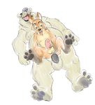  anal anal_penetration anthro bear big_dom_small_sub black_penis blush canine celestial circumcised digitigrade disney erection fox humanoid_penis legs_up lying mammal moobs nick_wilde nipples nude on_back on_top open_mouth overweight pawpads penetration penis perineum plantigrade polar_bear size_difference spread_legs spreading tongue tongue_out zootopia 