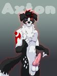  anal axton border butt canine collie dog domination feet invalid_color invalid_tag knot male mammal paws penis plow rail sex shower submissive 