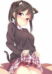  animal_ears blush box brown_hair cat_ears cat_tail chikuwa. fang_out in_box in_container looking_at_viewer original panties ponytail sidelocks skirt skirt_lift solo tail underwear white_panties 