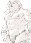  abs anthro biceps bulge clothed clothing feline fundoshi japanese_clothing lion looking_at_viewer male mammal manya muscular pants_down partially_clothed pecs simple_background solo underwear white_background 