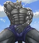  abs akuann anthro bulge clothing colored erection eugene_gallardo feline looking_at_viewer male mammal muscular pecs simple_background sky solo tales_of_rebirth underwear video_games 