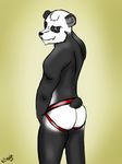  bear clothing jockstrap mammal panda underwear 