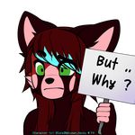  ... ? ambiguous_gender anthro english_text fluffy fur girly green_eyes hair highlights mammal multicolored_fur multicolored_hair raised_eyebrow reaction_image red_panda sign solo text waitress_(artist) why 