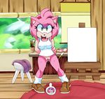  amy_rose bottomless clothing extraspecialzone female hedgehog mammal mirror painting pussy pussy_juice sonic_(series) sonic_boom 