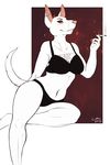  2016 albino anthro breasts canine cigarette clothing coffeestain female fur jackal lingerie mammal piercing red_eyes scar simple_background smile smoking solo tattoo underwear white_fur 
