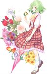  ascot bad_id bad_pixiv_id bunkyo_takemi closed_umbrella flower flower_request full_body green_hair highres holding holding_flower kazami_yuuka lily_(flower) mary_janes morning_glory pink_flower pink_rose plaid plaid_skirt plaid_vest red_eyes red_flower red_rose rose shoes short_hair skirt skirt_set solo sunflower touhou transparent_background tulip umbrella vest 