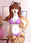  2015 anthro beanie bra breasts canine clothed clothing female hand_on_hip hat inside looking_at_viewer mammal mareena_brown navel panties smile solo spefides underwear wide_hips wolf 