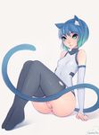  animal_ears blue_eyes blue_hair borrowed_character bottomless cat_ears cat_tail chicapixel detached_sleeves highres leotard original pussy short_hair sitting solo tail thighhighs uncensored 
