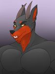  ashwolves5 bust_(disambiguation) canine dog hell horn male mammal 