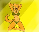  amy amy0108 anthro bra breasts canine clothing dog eyes_closed fur general: mammal shiba_inu smile underwear wet wet_underwear 