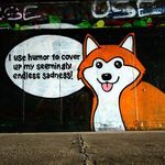  canine cocaine dog drugs english_text fur humor husky looking_at_viewer mammal multicolored_fur orange_fur puppy_eyes real red_fur solo speech_bubble text tongue two_tone_fur unknown_artist wall white_fur 