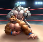  2016 abs anal anal_penetration anthro biceps big_muscles blue_hair braford brown_fur cetacean clenched_teeth dolphin duo erection fight fighting_ring from_behind_position fur grey_skin hair hi_res huge_muscles humanoid_penis male male/male mammal marine mohawk muscular muscular_male navel nipples nude pecs penetration penis pink_nose raised_tail rat rodent sex smile tail_grab teeth tiptoe wrestling wristband zoop 