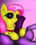  animal_genitalia animal_penis collar duo equine equine_penis erection fellatio female feral fluttershy_(mlp) friendship_is_magic hair horse male male/female mammal my_little_pony oral penis pink_hair pony sex spread_legs spreading tongue zuphyx 