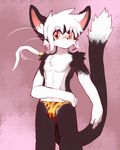  animal_print anthro blush bulge cat clothed clothing feline kay_(whiteleo) looking_at_viewer male mammal ponytail solo thong topless whiskers whiteleo young 