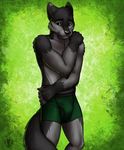  anthro black_fur black_nose black_tail body_hair canine chest_hair clothed clothing facial_hair fur green_background green_eyes grey_fur hi_res looking_at_viewer male mammal multicolored_fur simple_background smile solo standing three-quarter_portrait two_tone_fur underwear vallhund wolf 