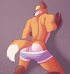  anthro butt canine clothing fox male mammal pouncefox underwear 