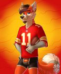  american_football black_nose blue_eyes brown_hair bulge canine clothed clothing dipstick_tail facial_hair fox fur grey_fur grey_tail hair half-closed_eyes hi_res inner_ear_fluff looking_at_viewer male mammal multicolored_fur multicolored_tail orange_fur orange_tail shirt simple_background smile standing three-quarter_portrait underwear vallhund white_fur white_tail 