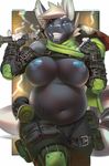  anthro big_breasts blue_eyes breasts canine clothing ear_piercing facial_piercing female hair looking_at_viewer mammal melee_weapon miles_df nipple_piercing nipples piercing scar shirt shirt_lift slightly_chubby smile weapon white_hair wolf 