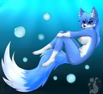  anthro areola breasts canine female fox invalid_tag looking_at_viewer lunarii mammal nipples nude solo underwater water 