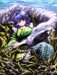  :&lt; air_bubble animal bangs blue_eyes blue_hair bubble caustics closed_mouth drill_hair fish frills head_fins highres hijiwryyyyy japanese_clothes kimono loch_ness_monster long_sleeves mermaid monster_girl obi plant sash scales seaweed solo touhou underwater wakasagihime wide_sleeves 