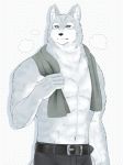  2018 abs anthro belt biceps canine clothed clothing fur hi_res male mammal mohumohuotou muscular muscular_male pants pecs simple_background wolf 