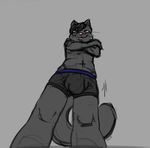  anthro bulge clothed clothing crossed_arms erebus feline fur grey_fur looking_at_viewer male mammal prettyokaymrfox simple_background smile solo submissive_pov topless underwear 