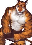  disney male solo stripper_tiger_(zootopia) zootopia 