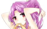  clothes_in_mouth commentary_request fuente hand_in_hair looking_at_viewer ponytail purple_hair red_eyes solo touhou upper_body watatsuki_no_yorihime 